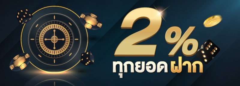 Pro 4